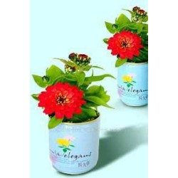 Imprinted Can Flowers