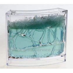 Ant Base Habitat