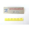 Promo Coin Keychain