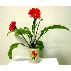 Gerbera v plechovce