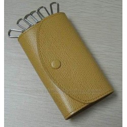 Key Case