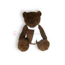 Teddybär mit Schal um den Hals
