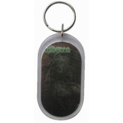 3D Lenticular Keyrings