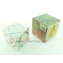 Folding Puzzle Cube