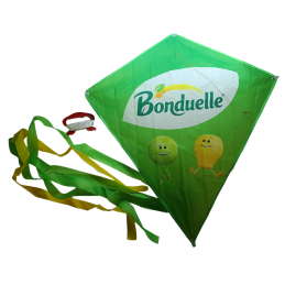 Promotional Flying Kite with Tail – Custom Print (Green)