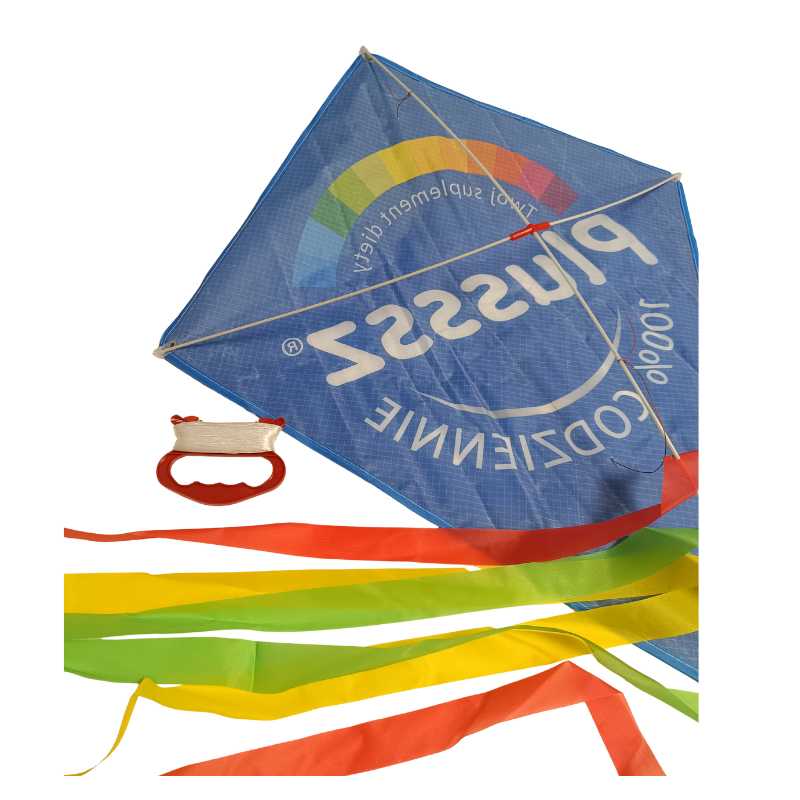 Promotional Flying Kite with Tail – Custom Print (Blue)