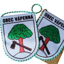 Custom Pennant Banner – Institutional Branding & Corporate Identity Display