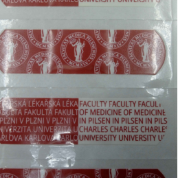 Custom Adhesive Bandages (Plasters)