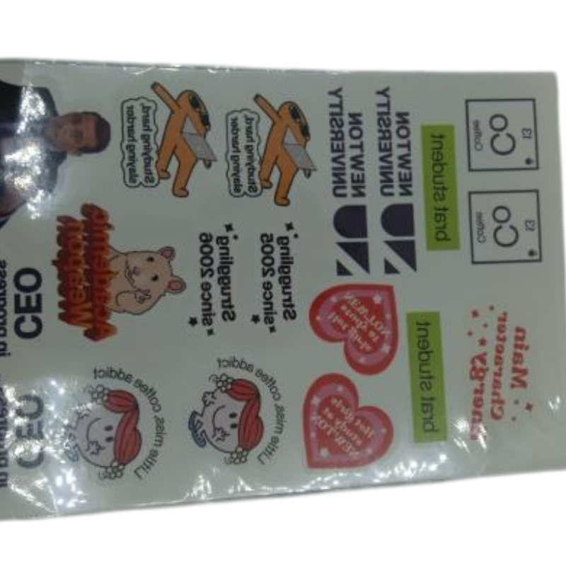 Custom Educational Sticker Sheets for University Recruitment and Student Life