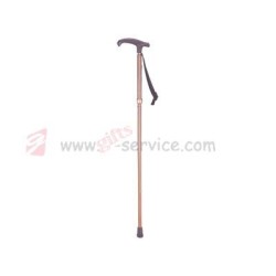 Walking Stick