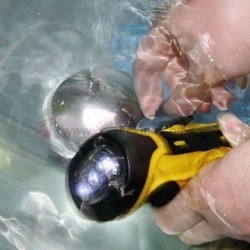 Waterproof Flash Light